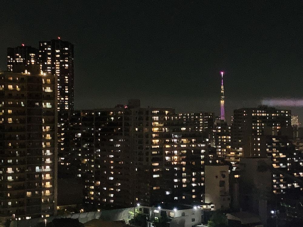 丰洲曼迪高级酒店 酒店